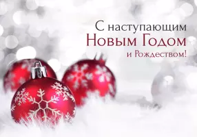 С наступающим Новым годом и Рождеством!!!
